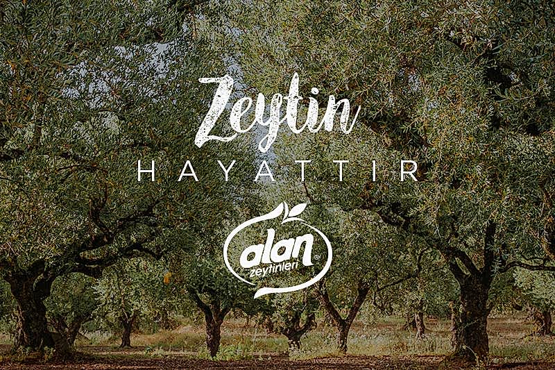 Alan Zeytin