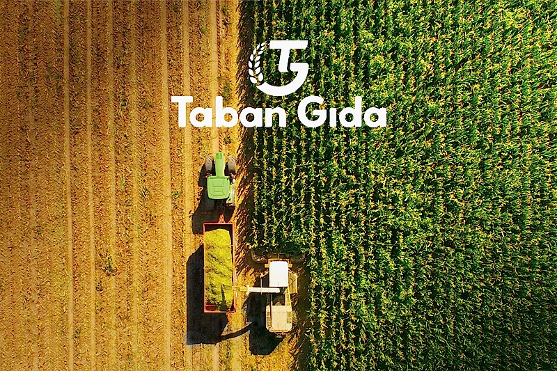 Taban Gıda